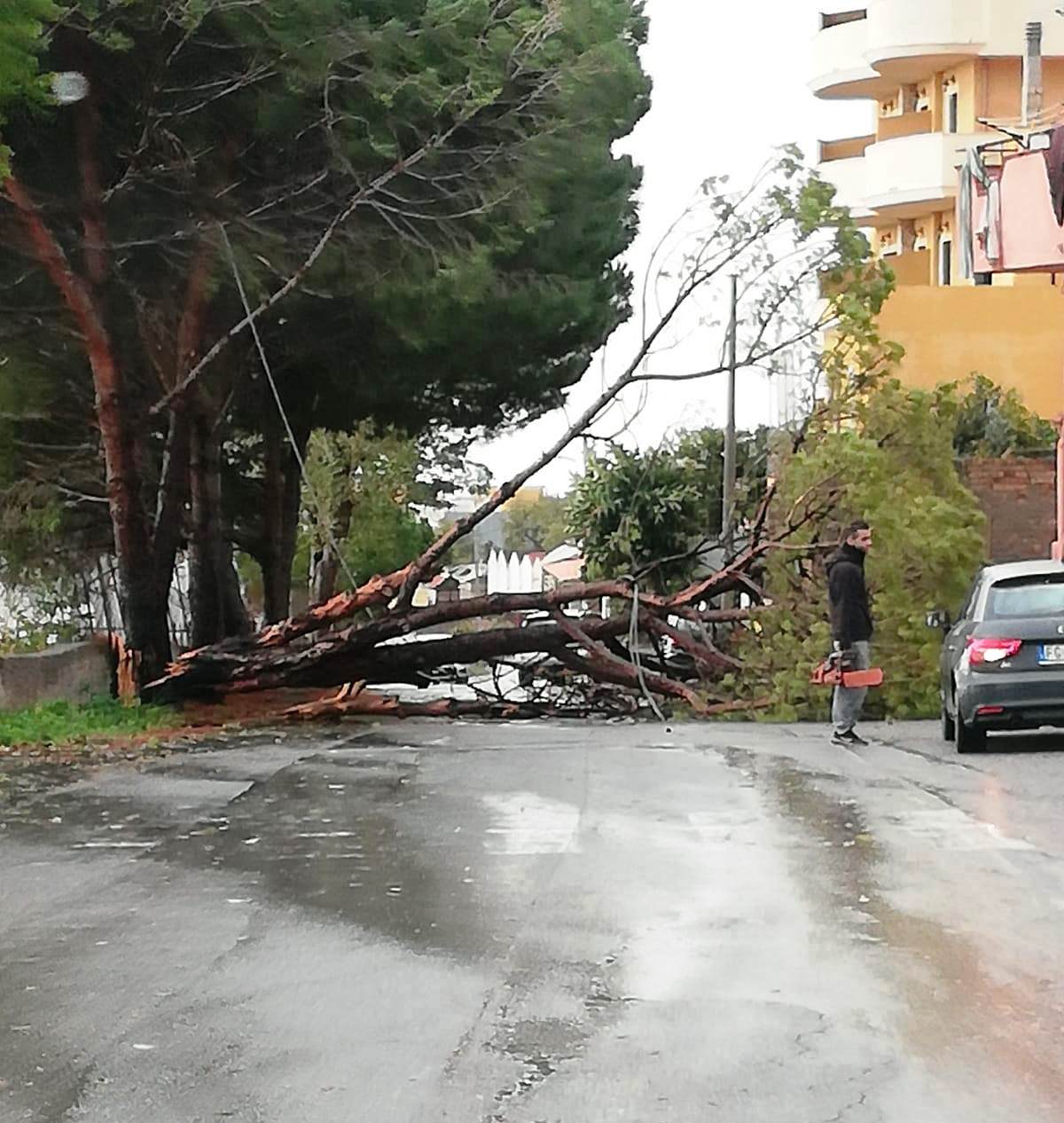 Maltempo Reggio Calabria Flagellata Da Pioggia E Vento Albero Crolla