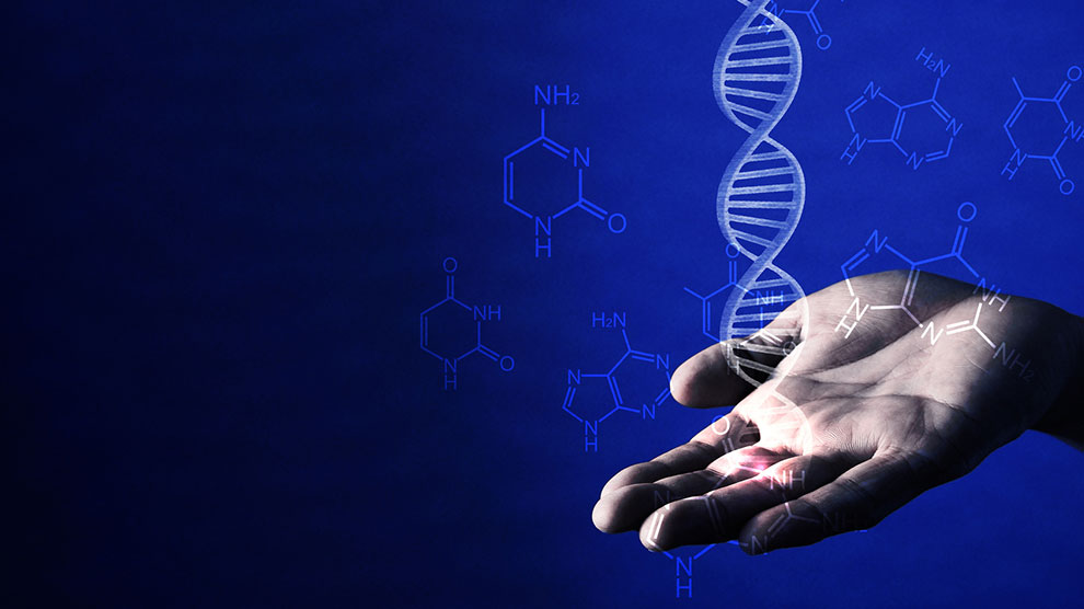 La Bioetica La Visione Laica E Cattolica Strettoweb 8829