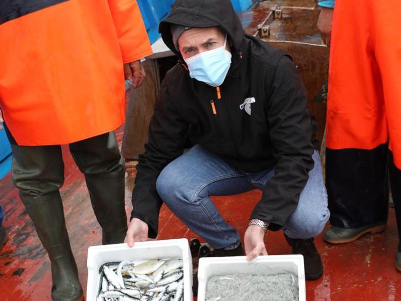 Pesca della sardella in Calabria la regione dà il via alla campagna