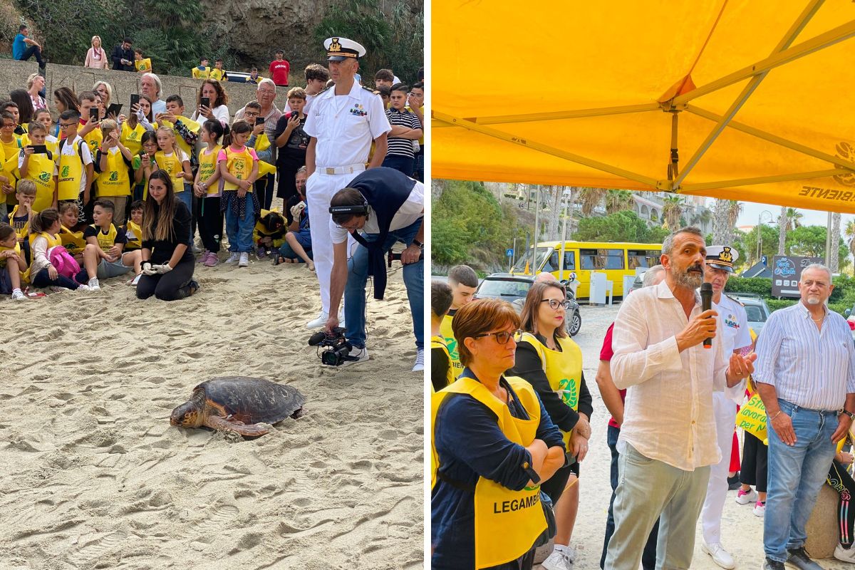 Mirto E Gabriele Le Tartarughe Caretta Caretta Liberate In Mare A Tropea