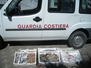 pesce sequestrato