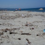 pulizia spiagge