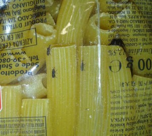 Sequestrata pasta a Catanzaro