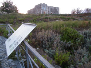 scavi archeologici spariti - sommersi dalle erbacce castello milazzo