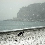 neve spiaggia (1)