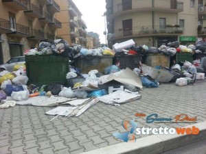 Rifiuti viale della Libertà (1)