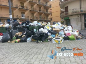 Rifiuti viale della Libertà (2)