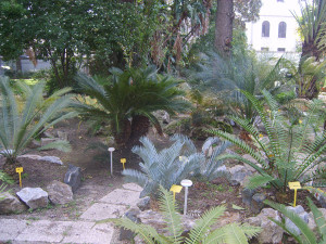 orto botanico messina