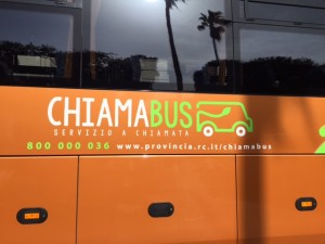 chiamabus 50 posti (3)