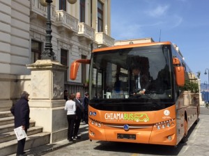 chiamabus 50 posti (7)