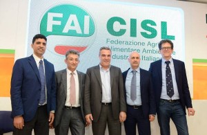 fai cisl colonna