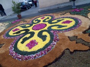 Infiorata Gallico (4)