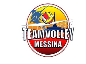 Team Volley_logo