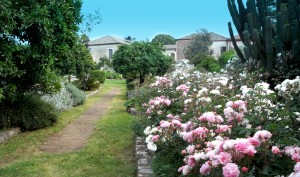 Il giardino di Villa Zerbi Taurianova (RC)