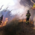 incendi messina (1)