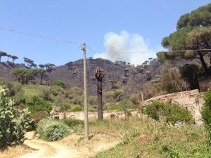 incendio a messina san michele (20)