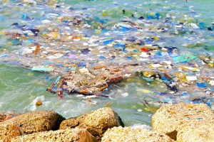 microplastiche in mare