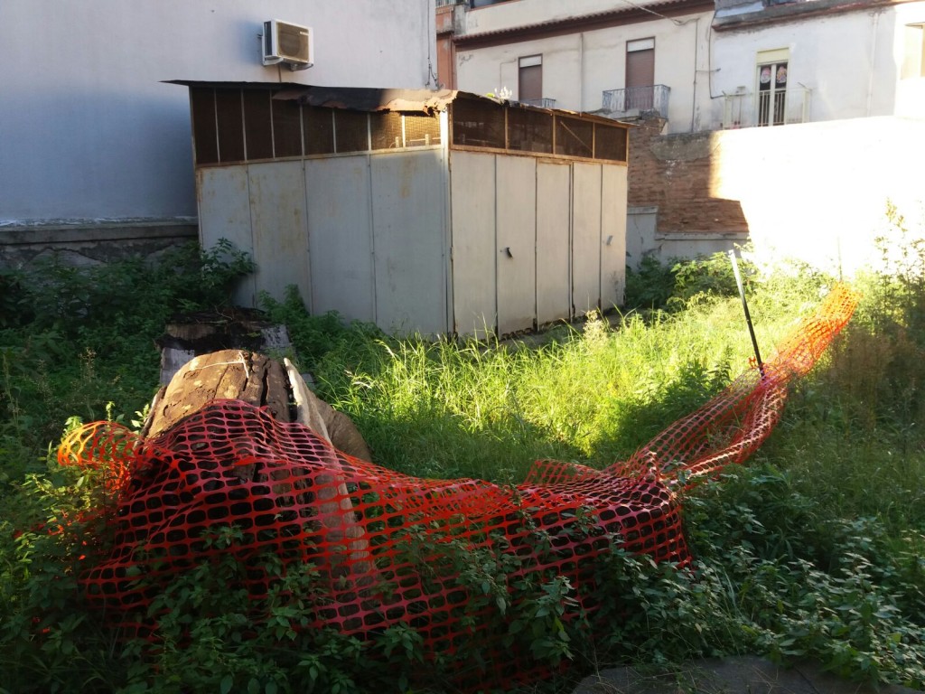 scuola lombardo radice messina (1)