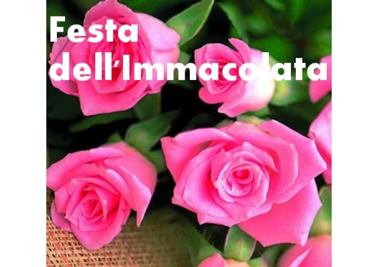 festa immacolata