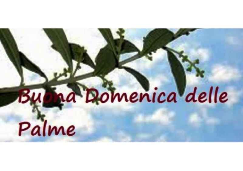 Buona domenica delle palme