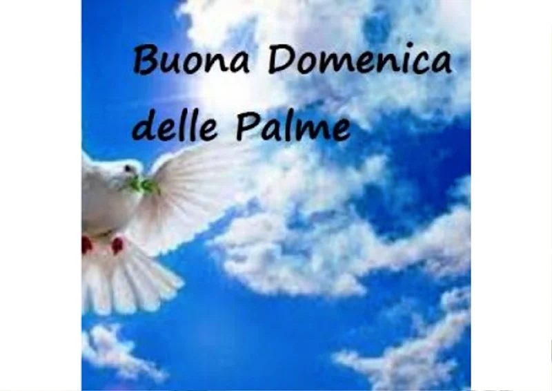 Buona domenica delle palme