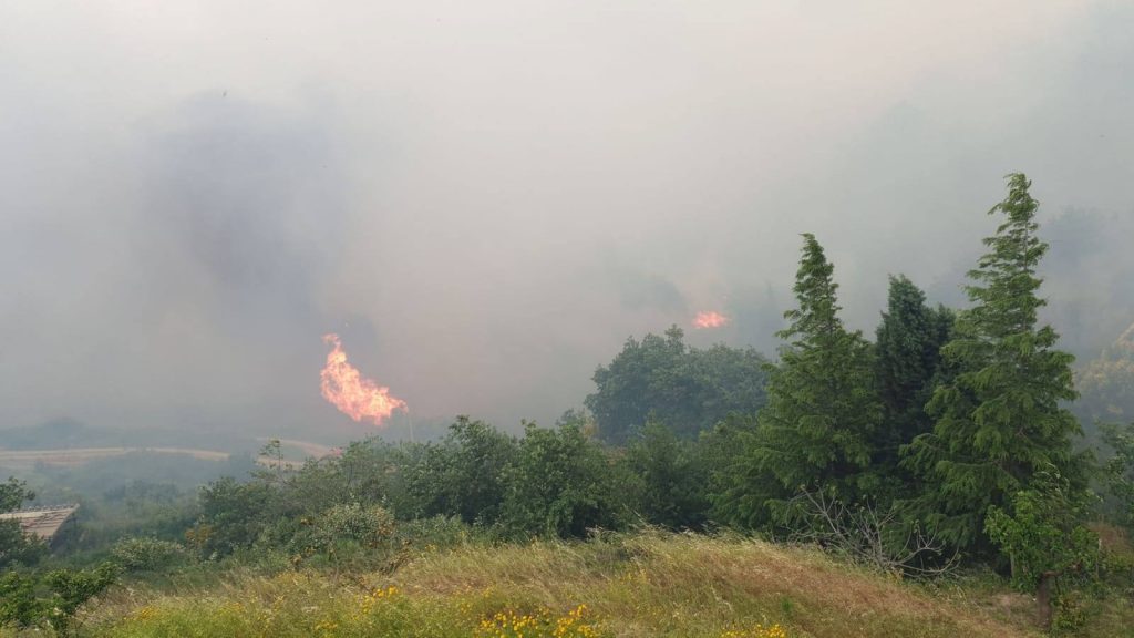 incendio sicilia