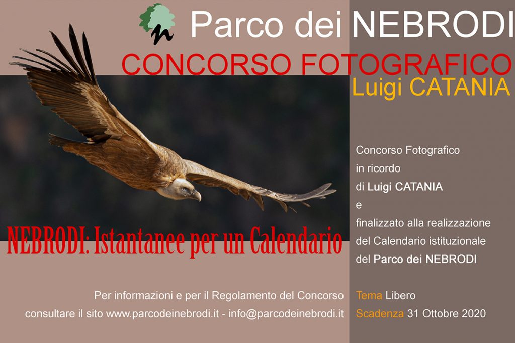 concorso fotografia