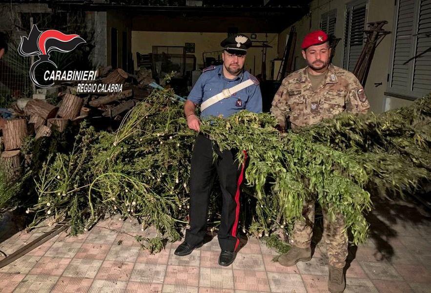 marijuana carabinieri reggio calabria