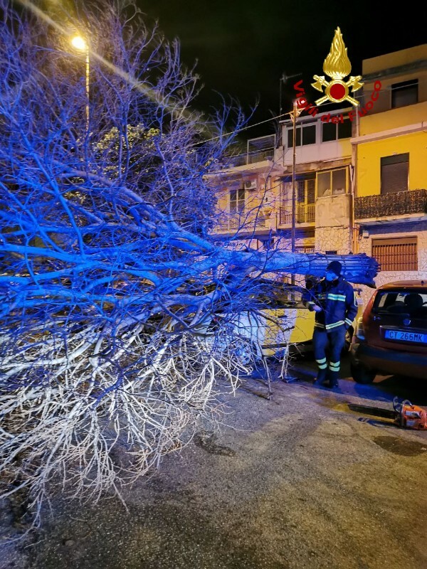 Messina Grosso Albero Cade Su Un Auto Che Rimane Incastrata