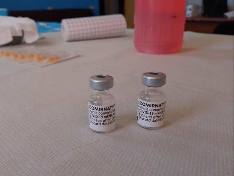 zicchinella vaccini sellia