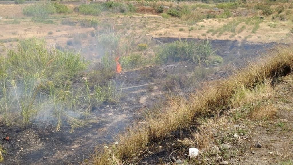 incendio rifiuti san gregorio