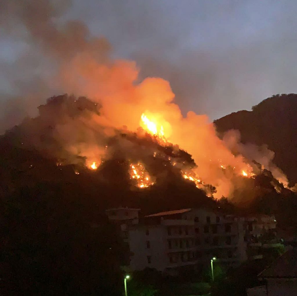 incendio oliveto 30 luglio