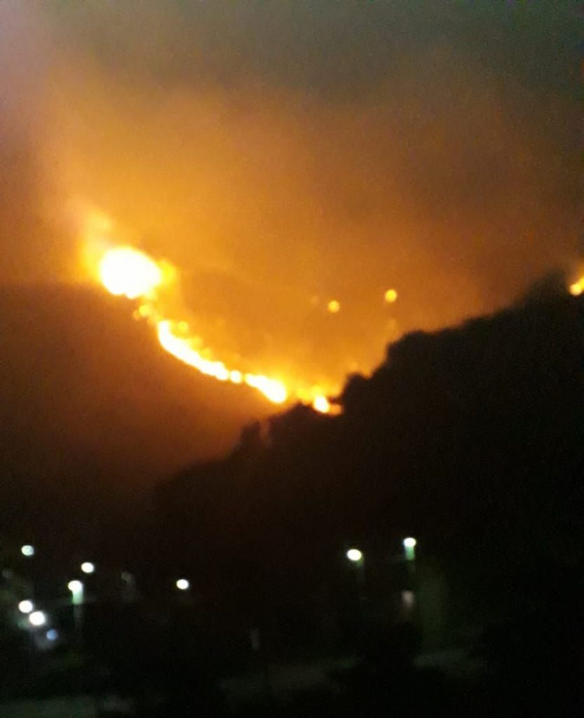 incendio oliveto 30 luglio