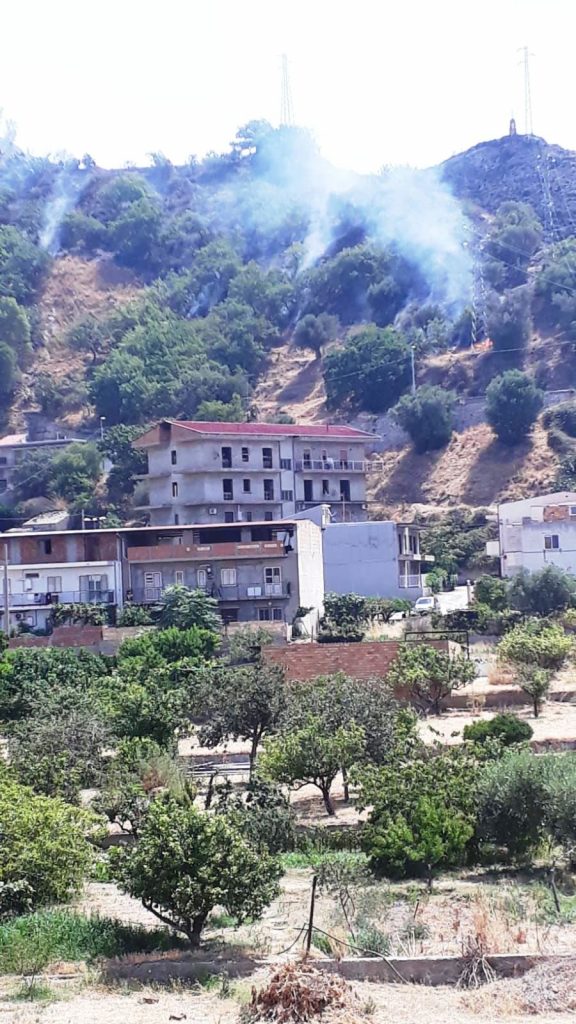 incendio oliveto 30 luglio