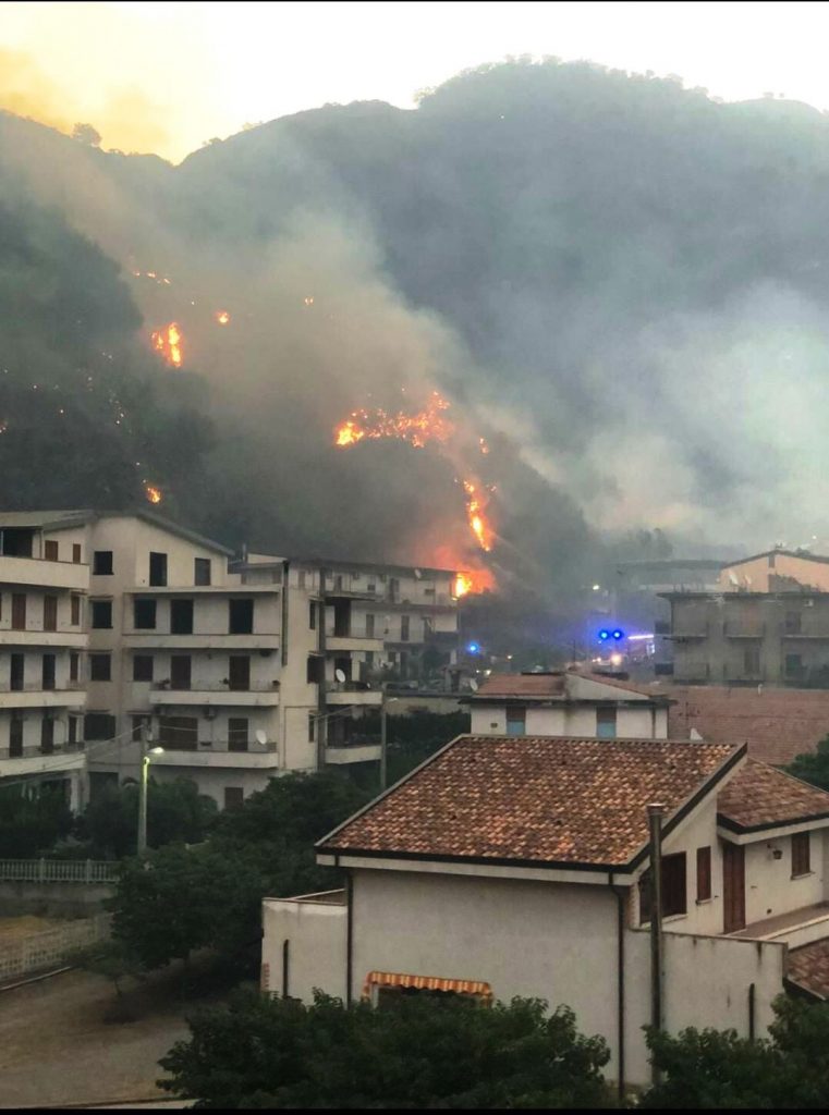 incendio oliveto 30 luglio