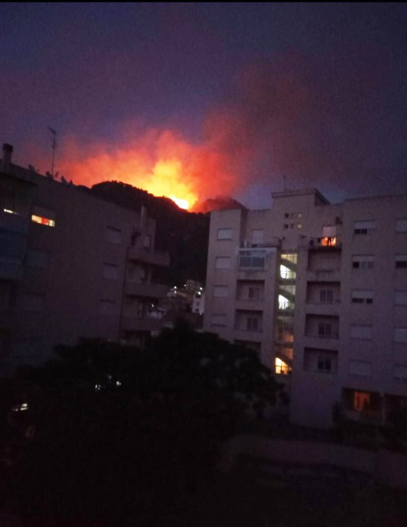 incendio oliveto 30 luglio