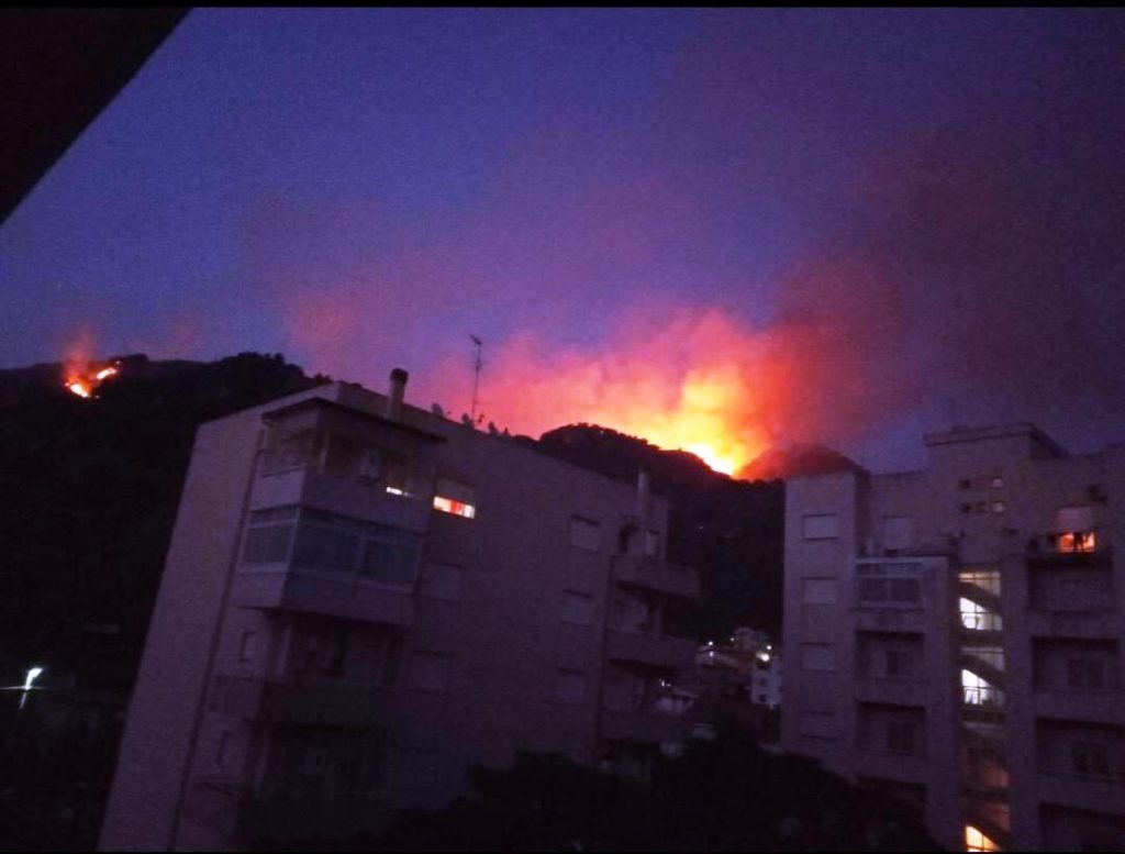 incendio oliveto 30 luglio