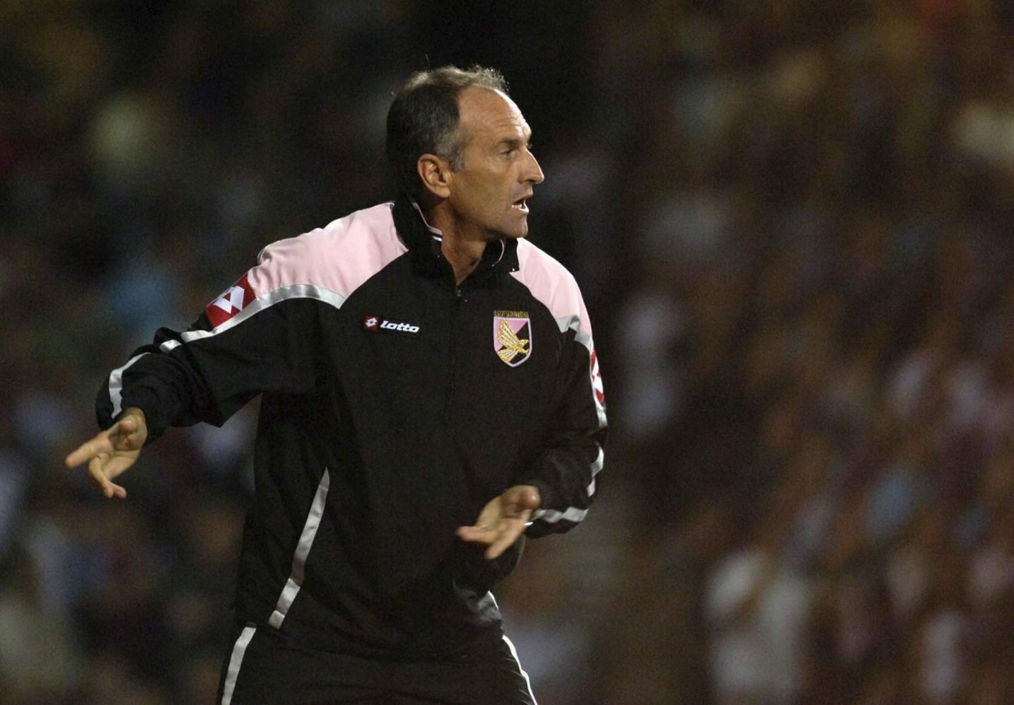 Guidolin