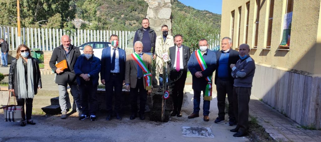 Albero a San Luca