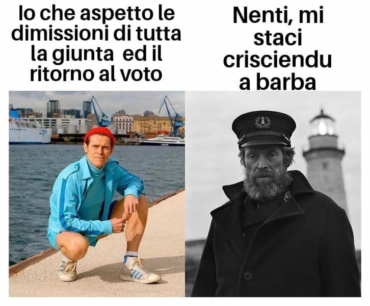 meme falcomatà dopo sentenza miramare