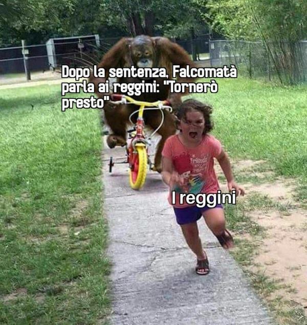 meme falcomatà dopo sentenza miramare