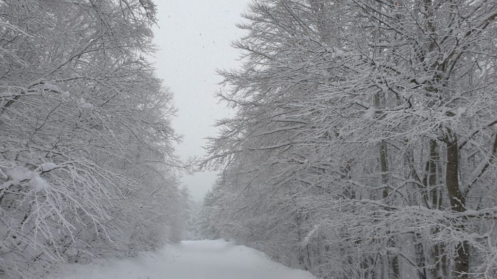 neve sila 11 dicembre 2021