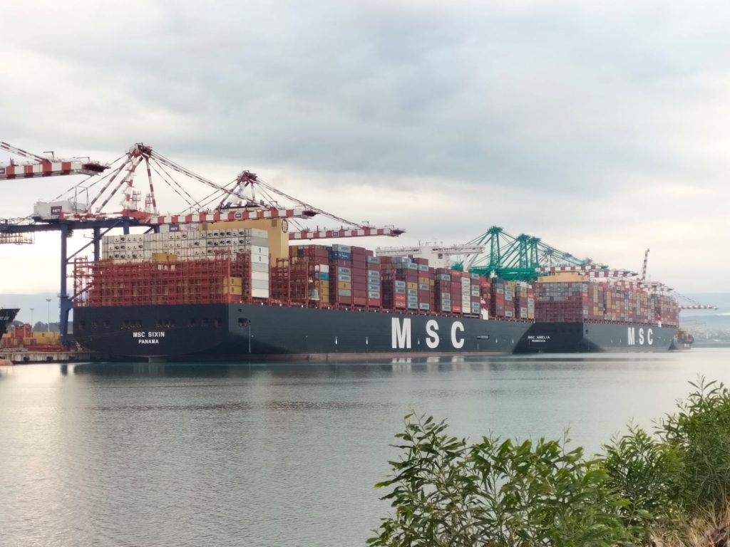 Msc Amelia e Msc Sixin