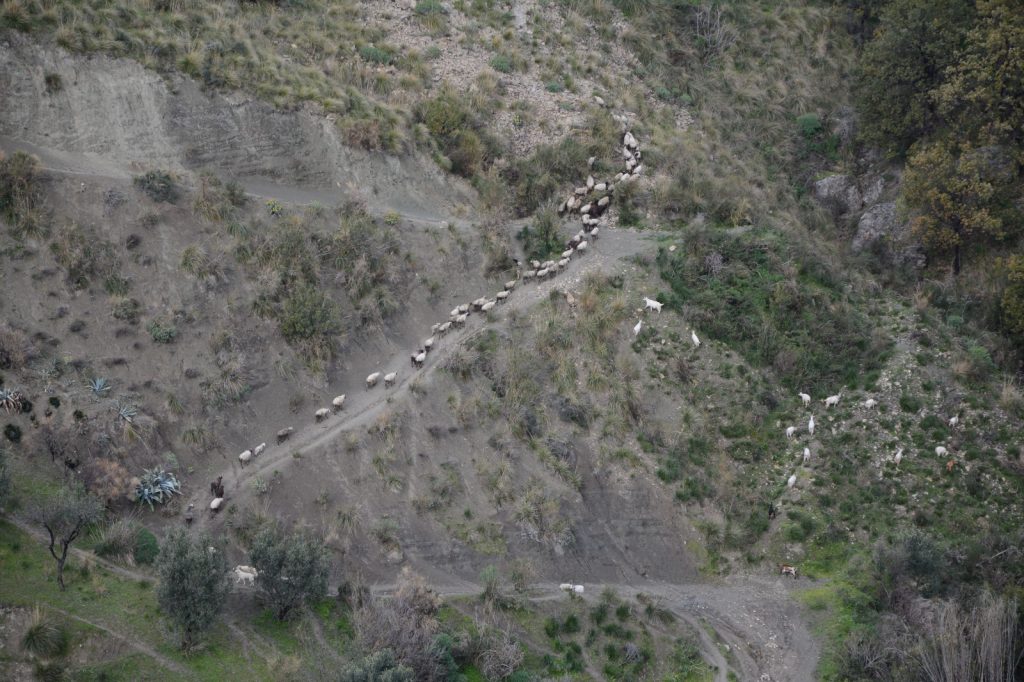 lavoro sul campo in Aspromonte