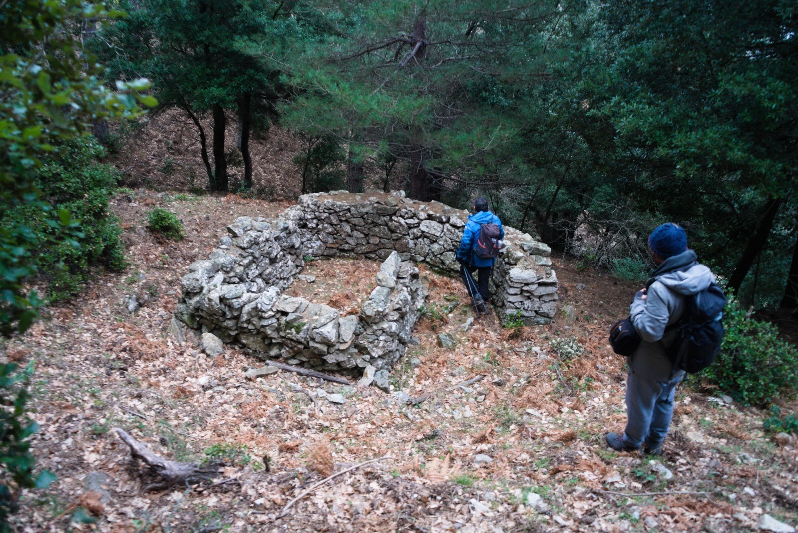 lavoro sul campo in Aspromonte