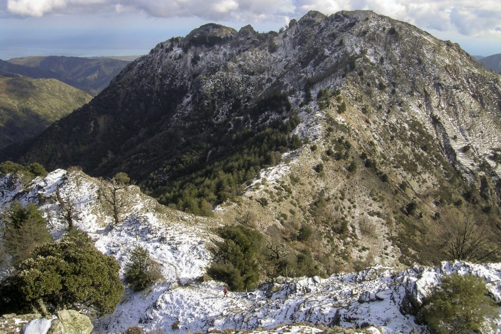 lavoro sul campo in Aspromonte