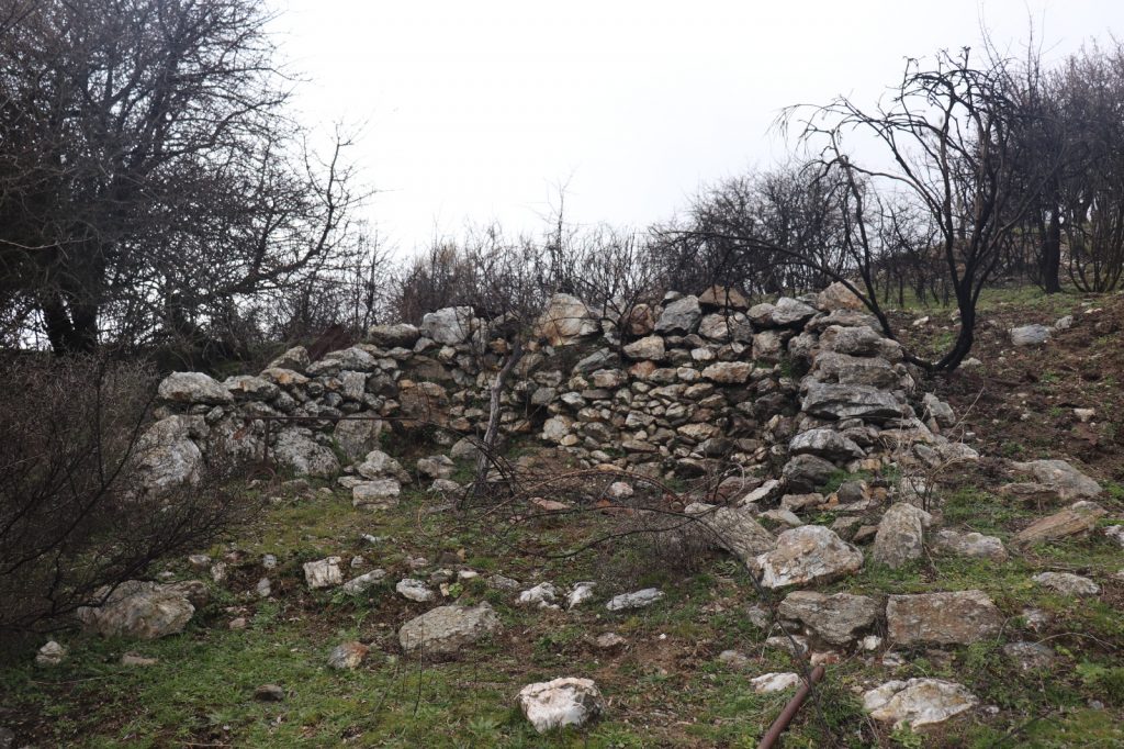 lavoro sul campo in Aspromonte