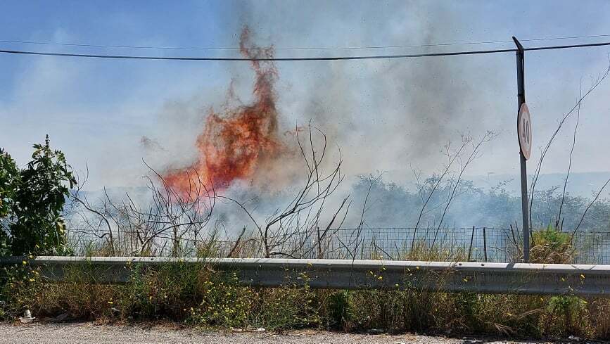 incendio campo calabro