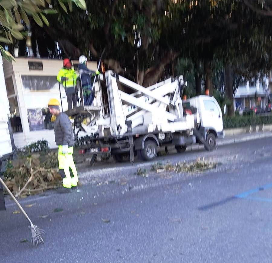 lungomare chiuso per potare alberi (1)