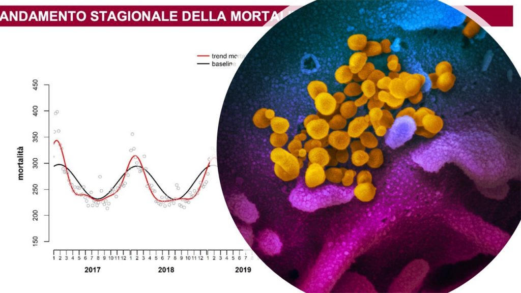 mortalità covid